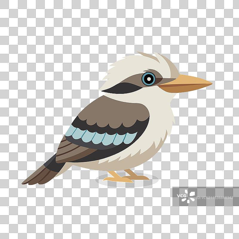 孤立在白色背景上的笑翠鸟图片素材