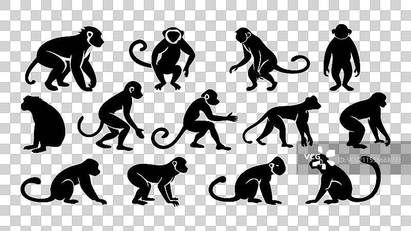 猴子剪影平面图集图片素材