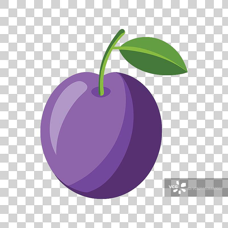 白色背景上孤立的梅子水果图片素材