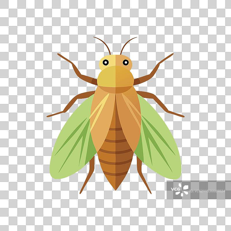 孤立的蚜虫，平坦的白色背景图片素材