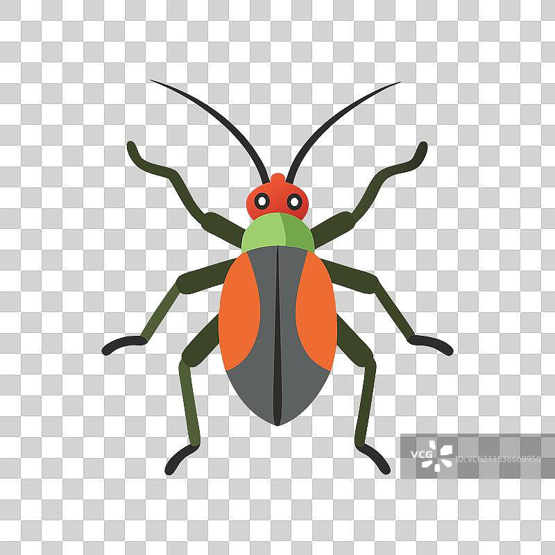 独立在白色背景上的象鼻虫图片素材