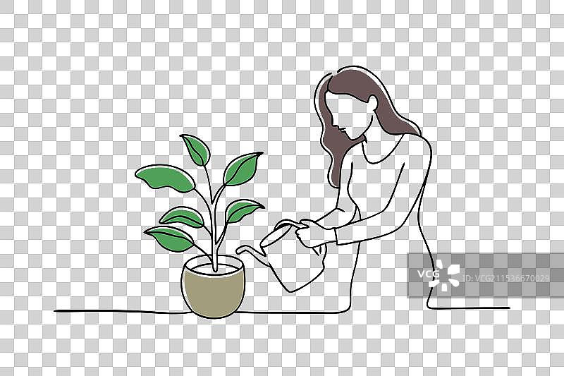 女人轻柔地给绿色植物浇水图片素材