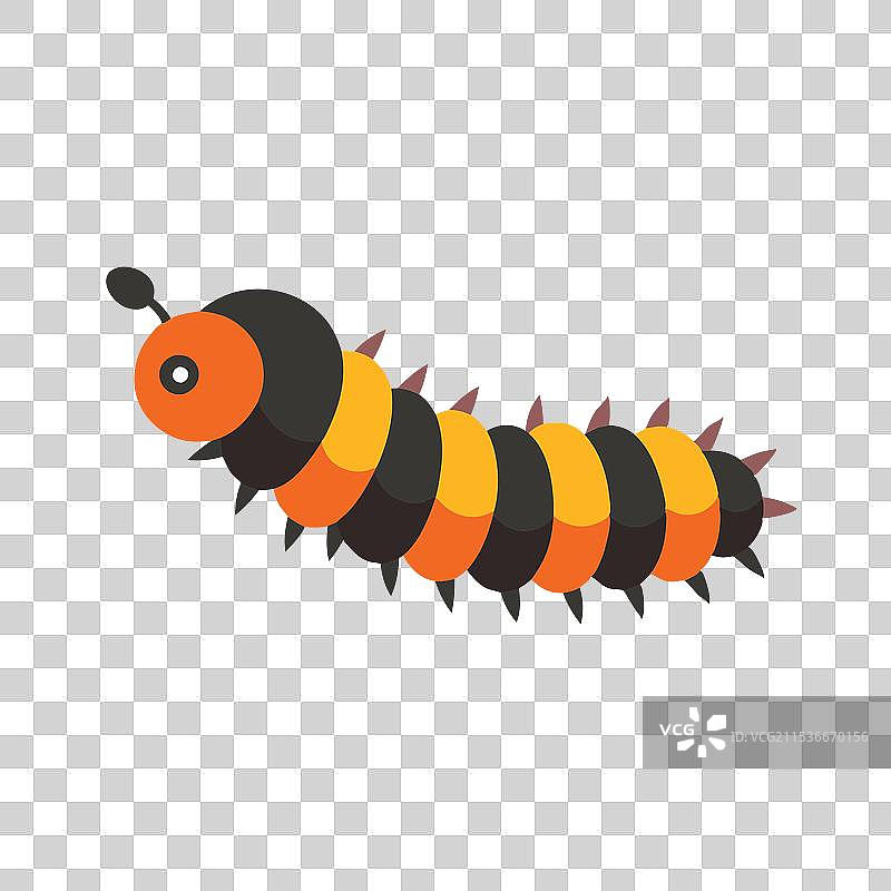 孤立的毛毛虫昆虫平面图图片素材