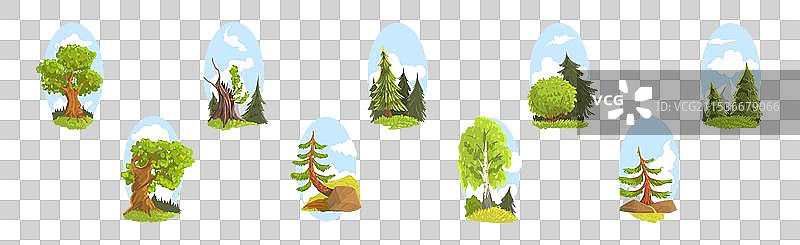 夏季树木自然风光与绿色森林图片素材