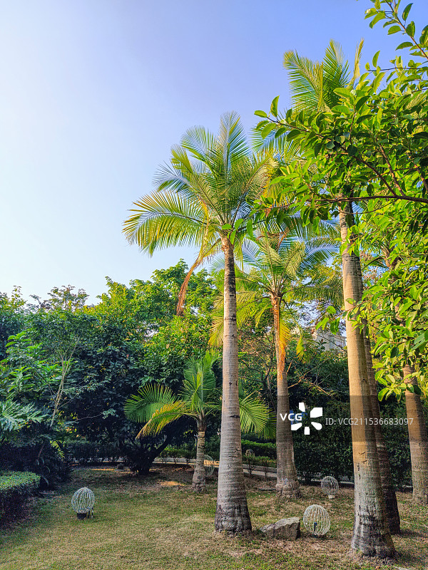 清远市新银盏温泉景区图片素材