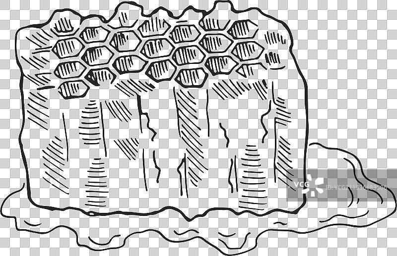 蜂蜡素描自然养蜂产品墨水画图片素材