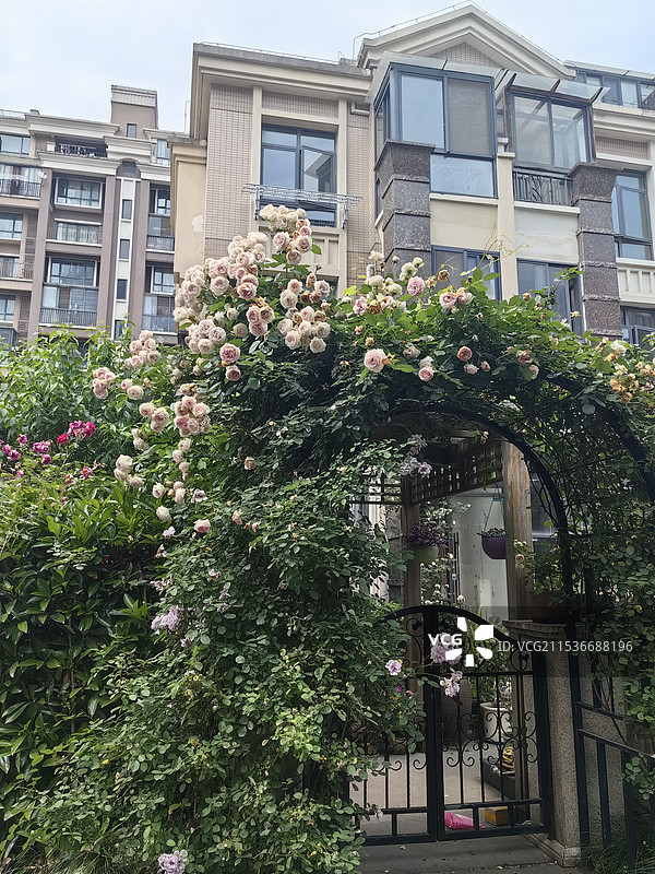 城市生活日常随拍纪实图片素材