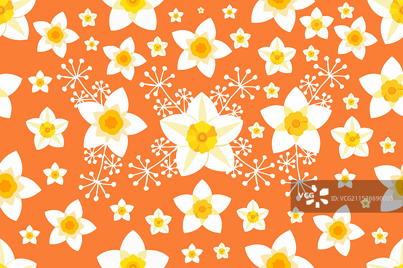 橙色背景上的鲜艳水仙花图案图片素材