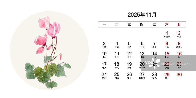 2025年花卉月份日历11月仙客来图片素材