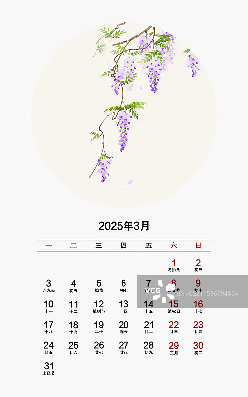 2025年花卉月份日历3月紫藤花图片素材