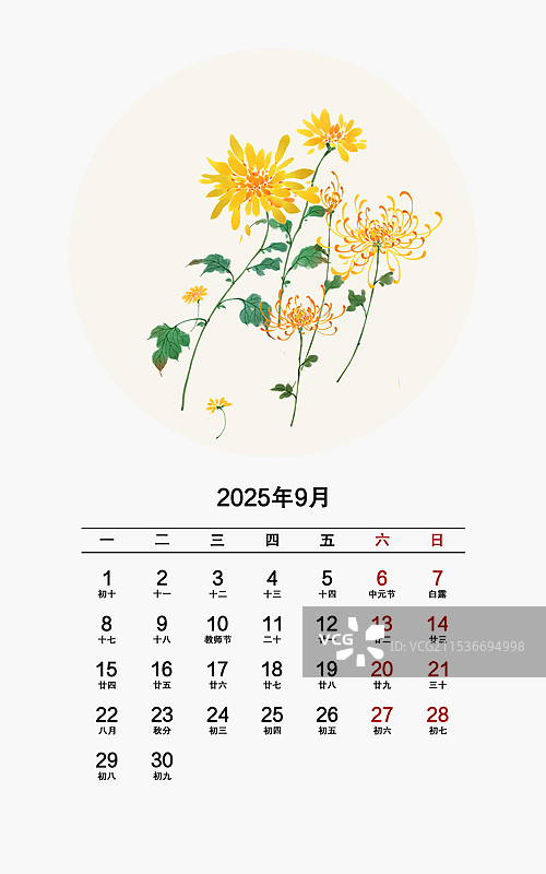 2025年花卉月份日历9月菊花图片素材