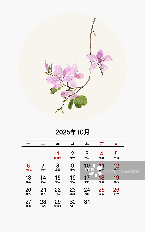 2025年花卉月份日历10月羊蹄甲图片素材