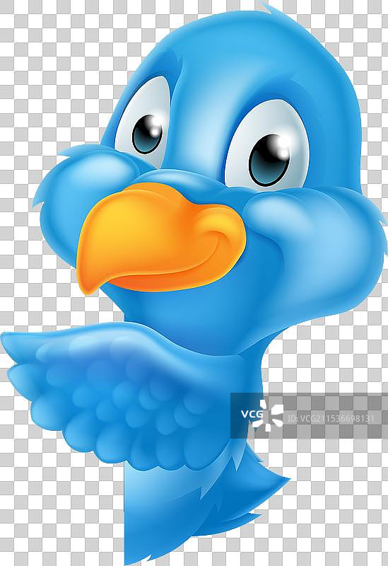 蓝鸟在标志后面探头探脑图片素材