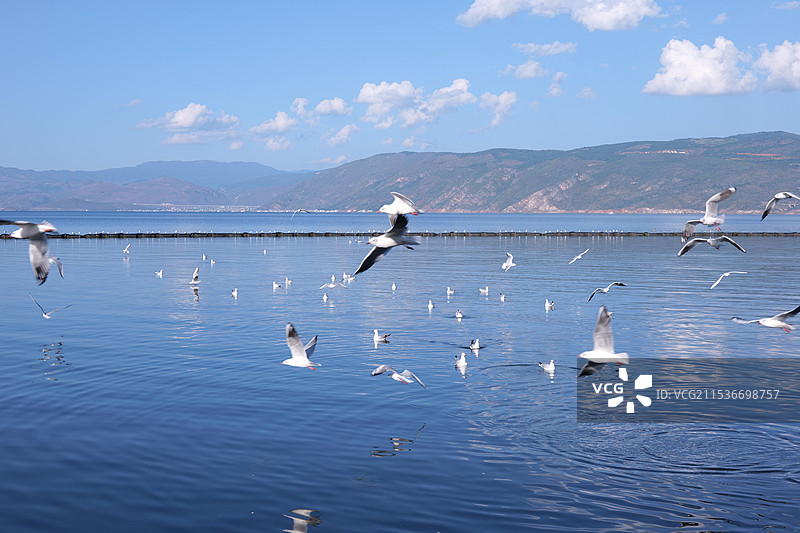 一直在路上图片素材