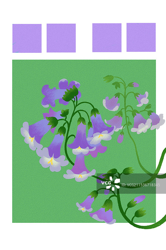 清明泡桐花图片素材