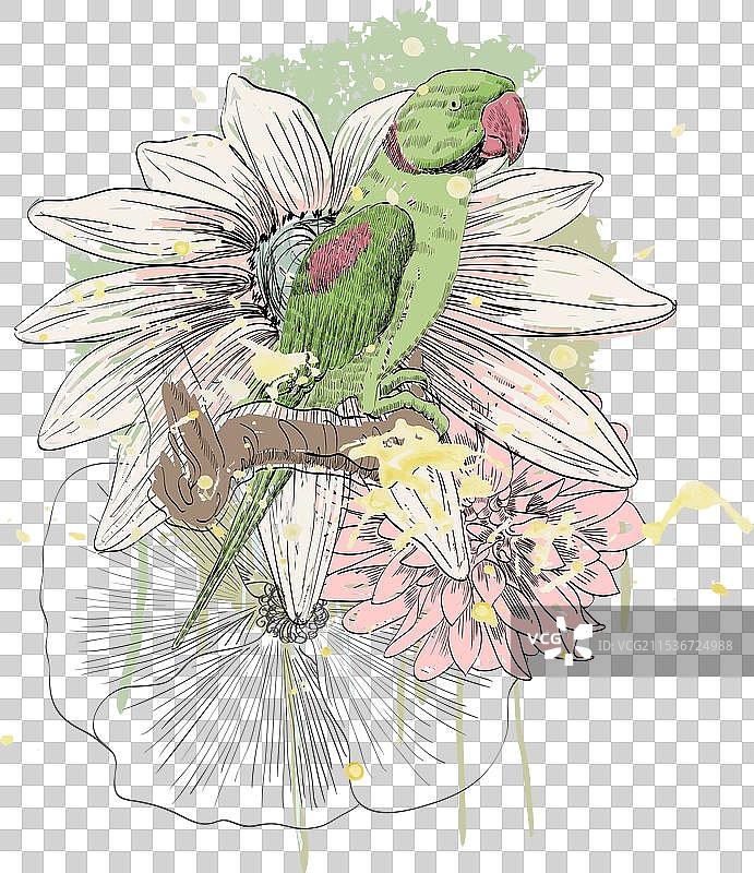 鹦鹉与花朵图片素材