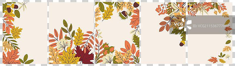 一组秋季边框，装饰着五彩缤纷的秋叶图片素材