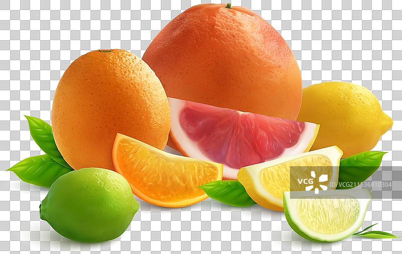 柑橘类水果的真实组合图片素材