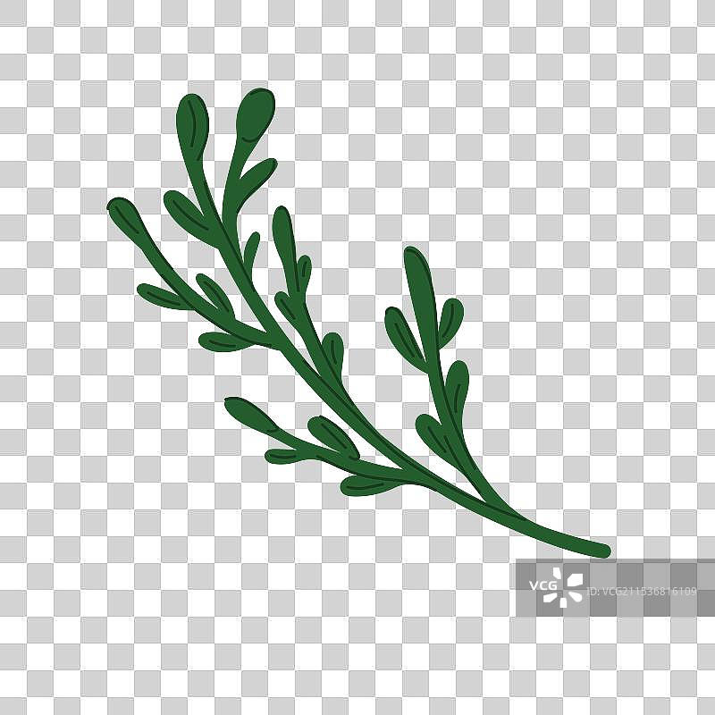 平面风格的绿色松枝，完美适用于图片素材