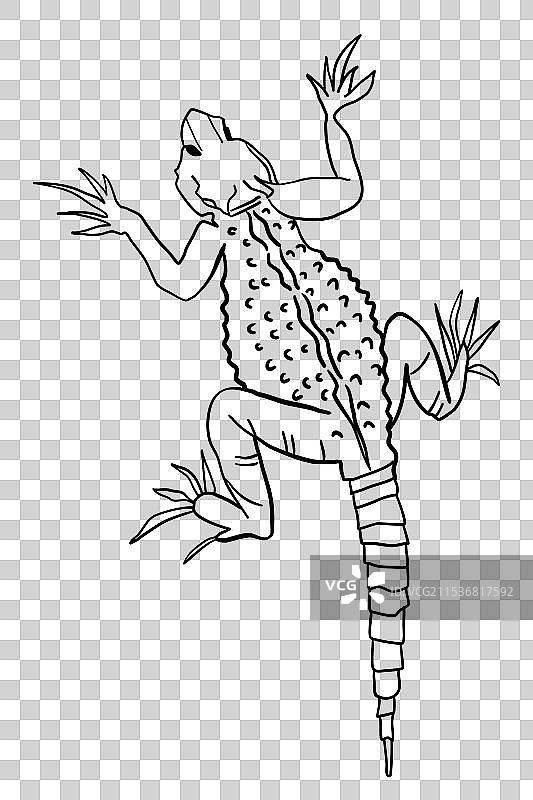 黑色轮廓的蜥蜴壁虎剪贴画，孤立在上面图片素材