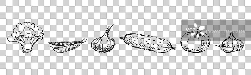 各种成熟蔬菜的素描，用于沙拉图片素材