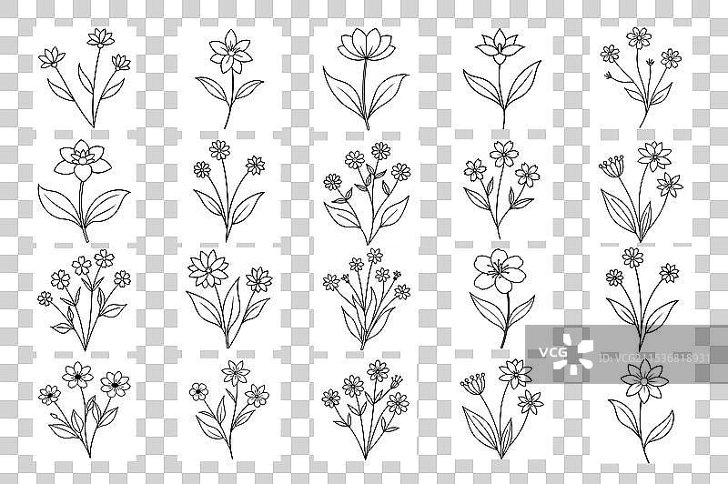 花卉艺术套装图片素材