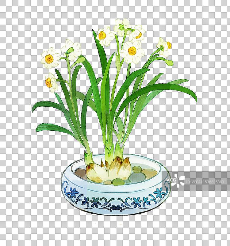 水墨画水仙花盆栽图片素材