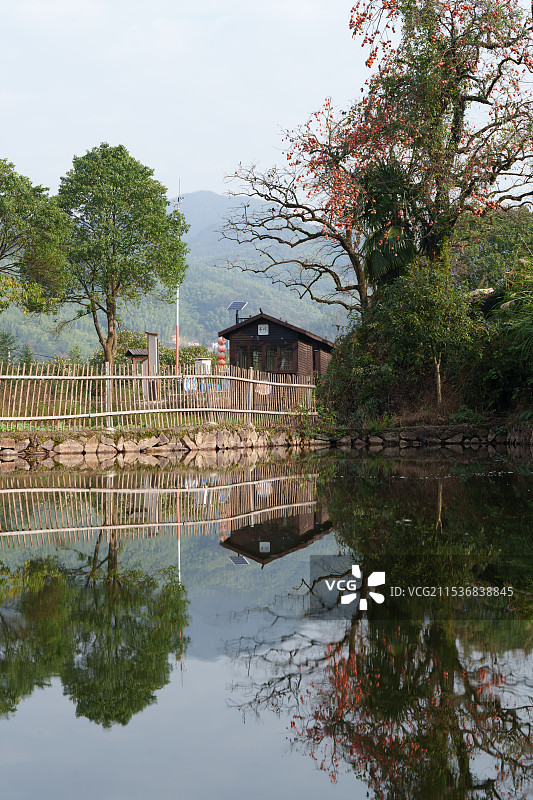 衢州衢江区隐柿东坪景区图片素材