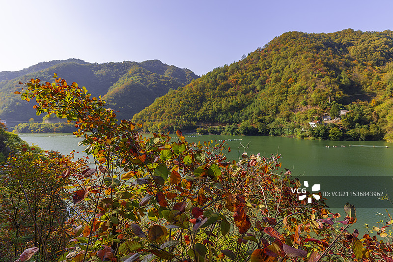 两岸秋色醉人--陕西汉阴县图片素材