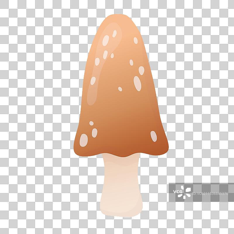 秋季蘑菇卡通图案孤立在白色背景上图片素材