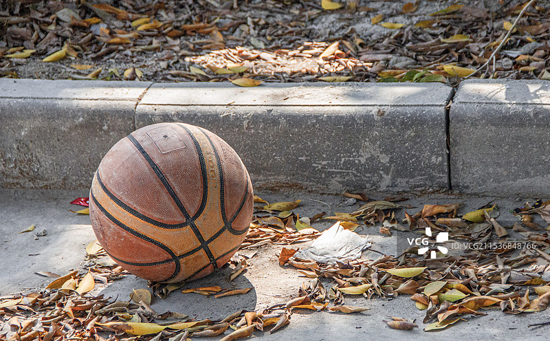 广东潮州遗留在落叶树影中的篮球图片素材