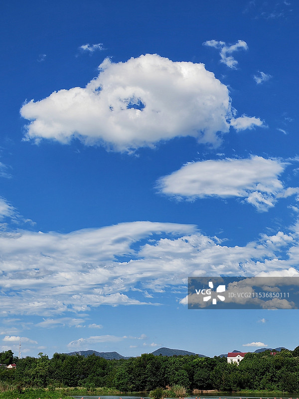 蓝天下树木的低角度视图图片素材