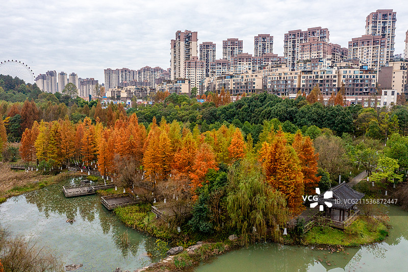 遵义新蒲新区湿地公园图片素材