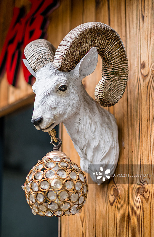 羊头 灯 摄影图片素材
