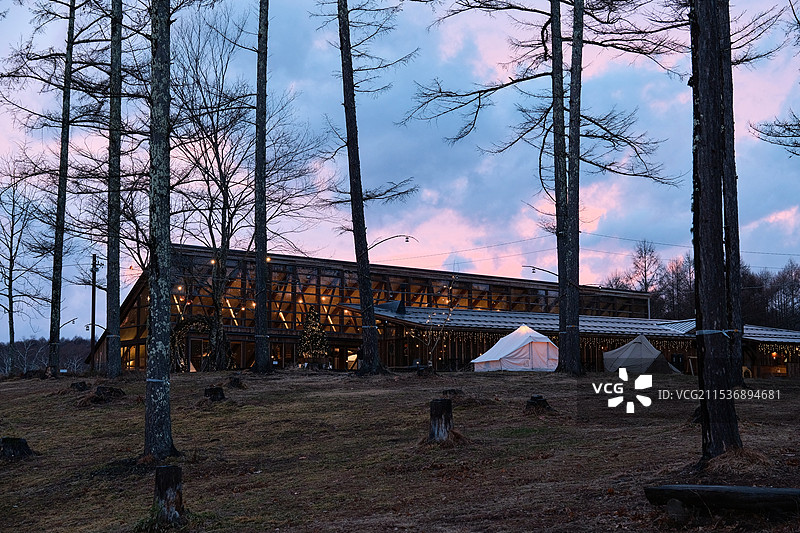 日落时分的树林与度假酒店木屋建筑外部图片素材