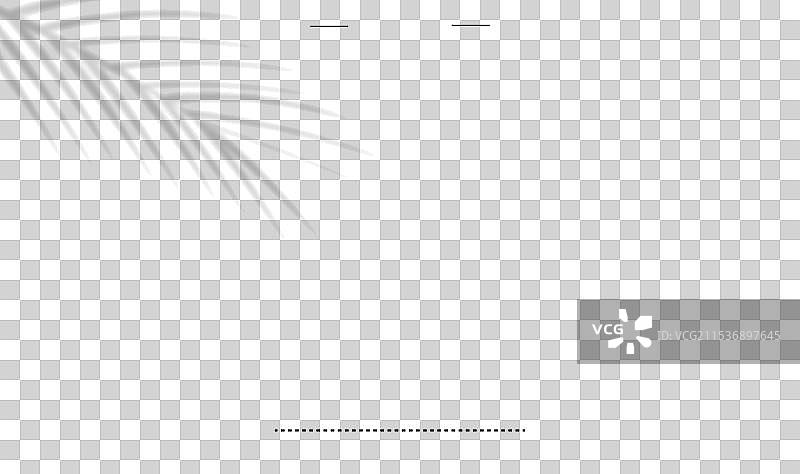 优雅的五十周年纪念文字效果图片素材