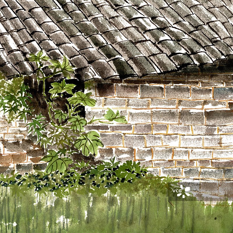 瓦屋前的绿植图片素材