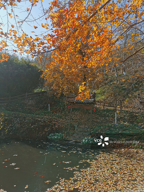湖北英山县四季花海图片素材