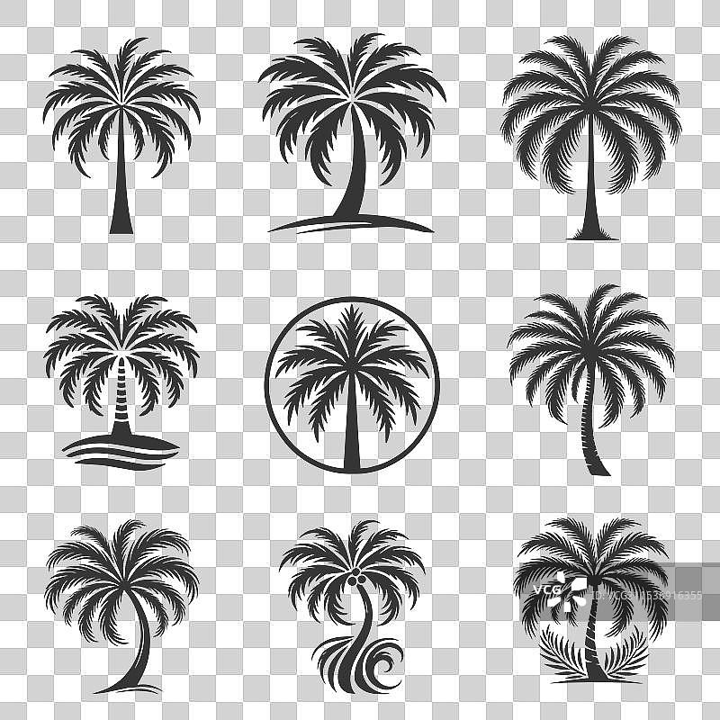 棕榈树剪影合集图片素材