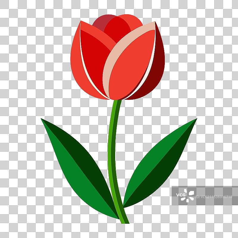 郁金香色彩花卉设计图片素材