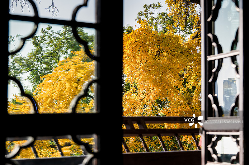 南湖湖心岛秋色图片素材