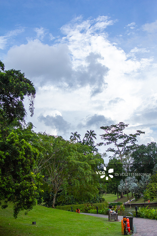 新加坡植物园图片素材