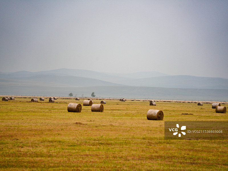 秋天内蒙古锡林郭勒元上都锡林郭勒草原干草卷图片素材