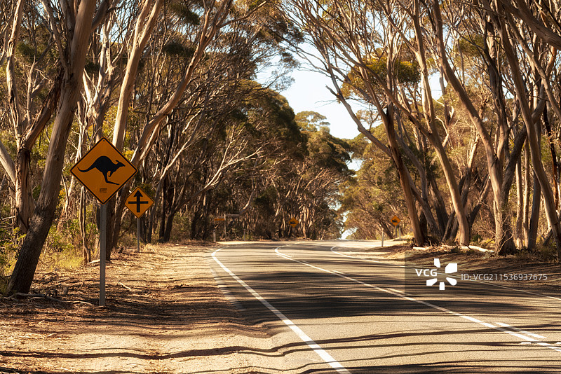 澳大利亚公路图片素材