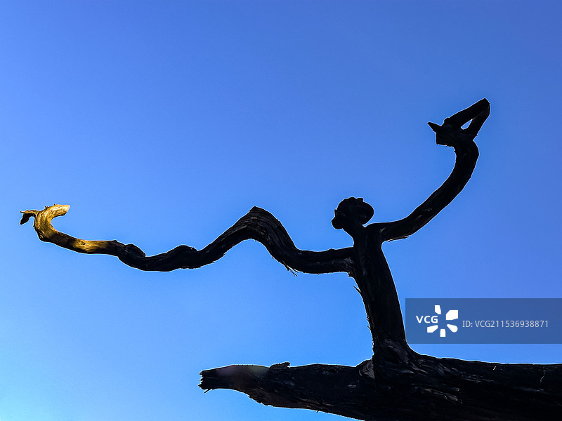 空中舞者图片素材