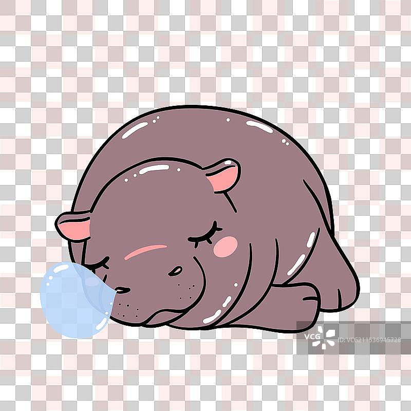 可爱的愤怒小河马宝宝在睡觉图片素材