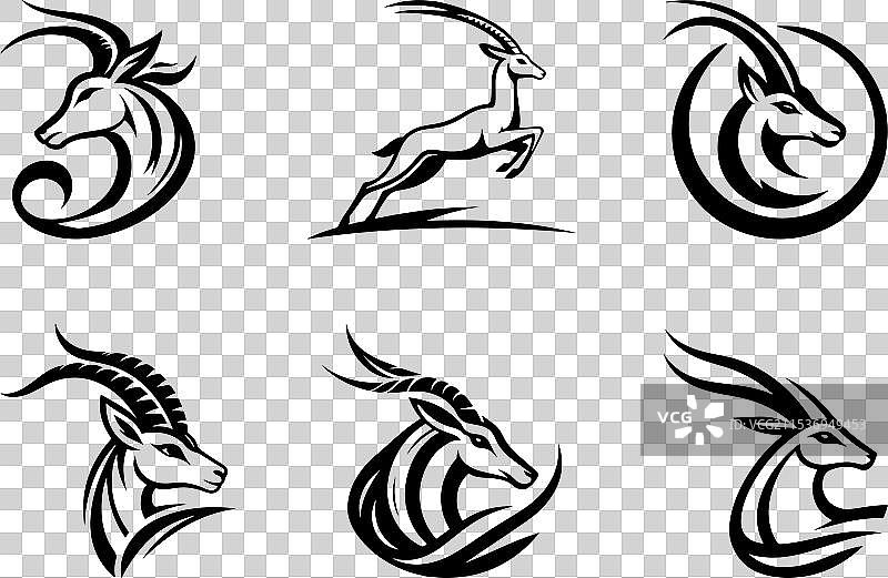 瞪羚，自然界优雅而灵活的短跑者图片素材