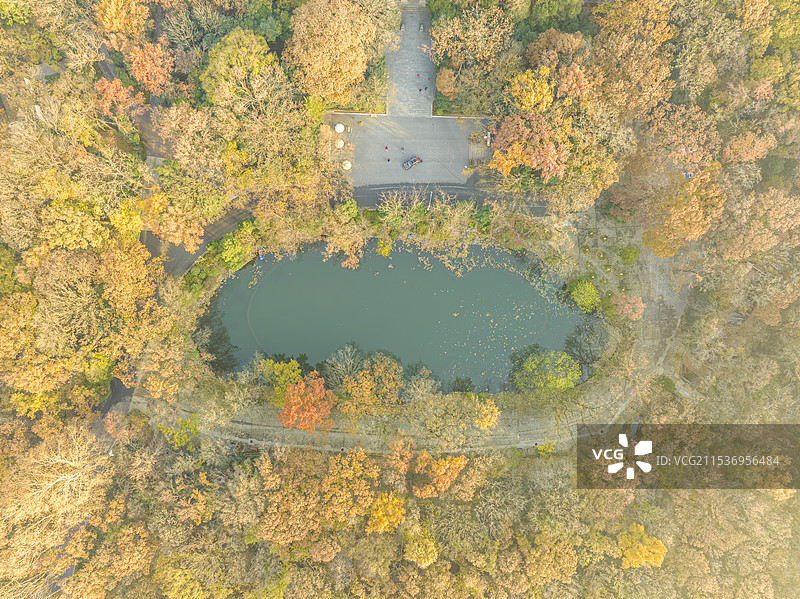 航拍秋季中山陵风景区，灵谷寺外的万工池图片素材