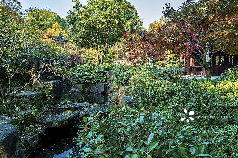 石湖梅圃图片素材