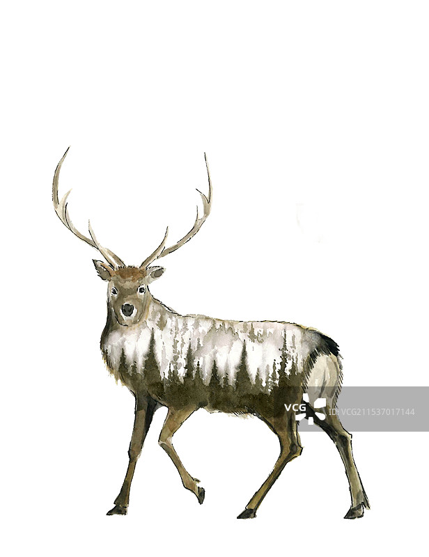水彩画雄鹿图片素材